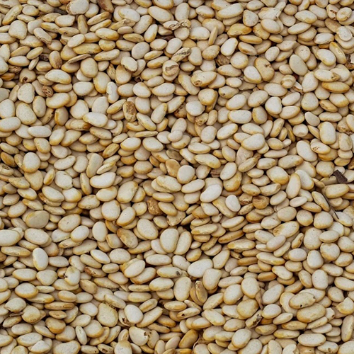 Sesame Seeds