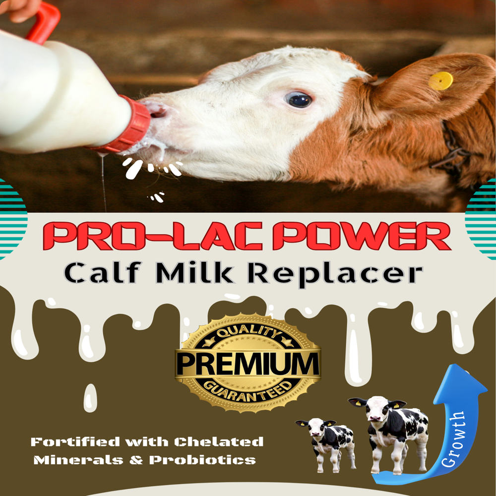 Calf Milk Replacer - Ash %: 7