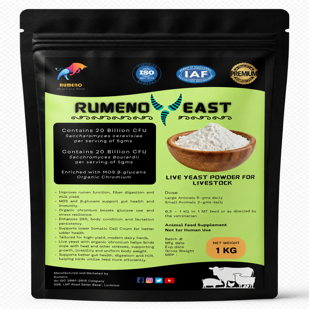 Live Yeast Feed Grade For Animals - Ash %: 6
