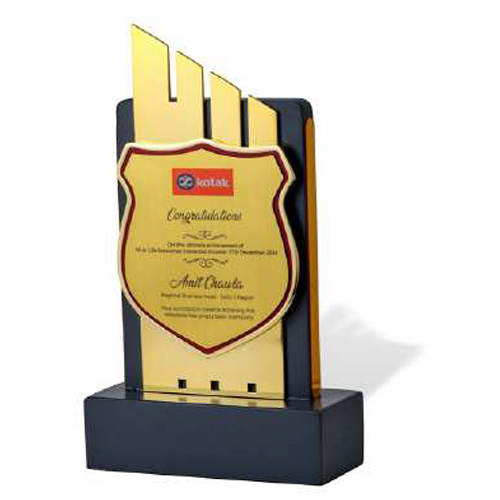 12x7 Inch Wooden And Metal Trophy