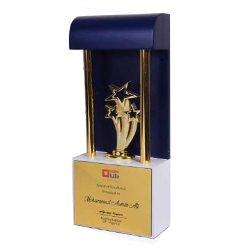 11x4.5 Inch Wooden And Metal Trophy