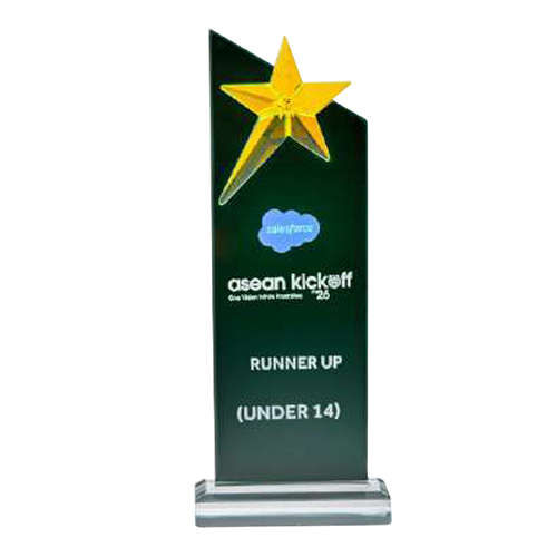 11x3.5 Inch Crystal Trophy
