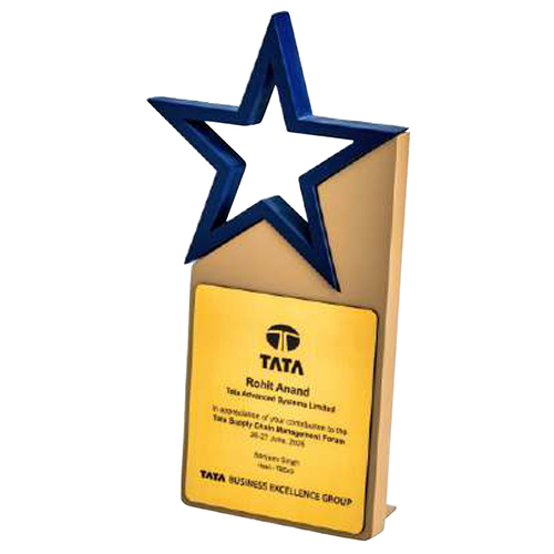 11x4.75 Inch Wooden Trophy