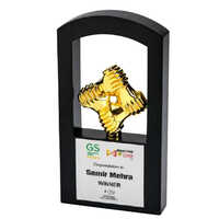 11 Inch Wooden And Metal Trophy