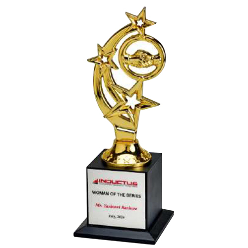 Wooden And Metal Trophy