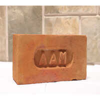 AAM Red Bricks