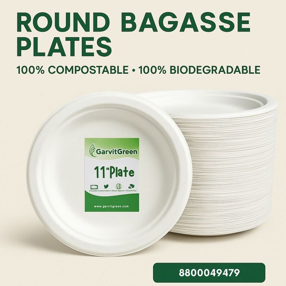 11 INCH PLAIN ROUND PLATE