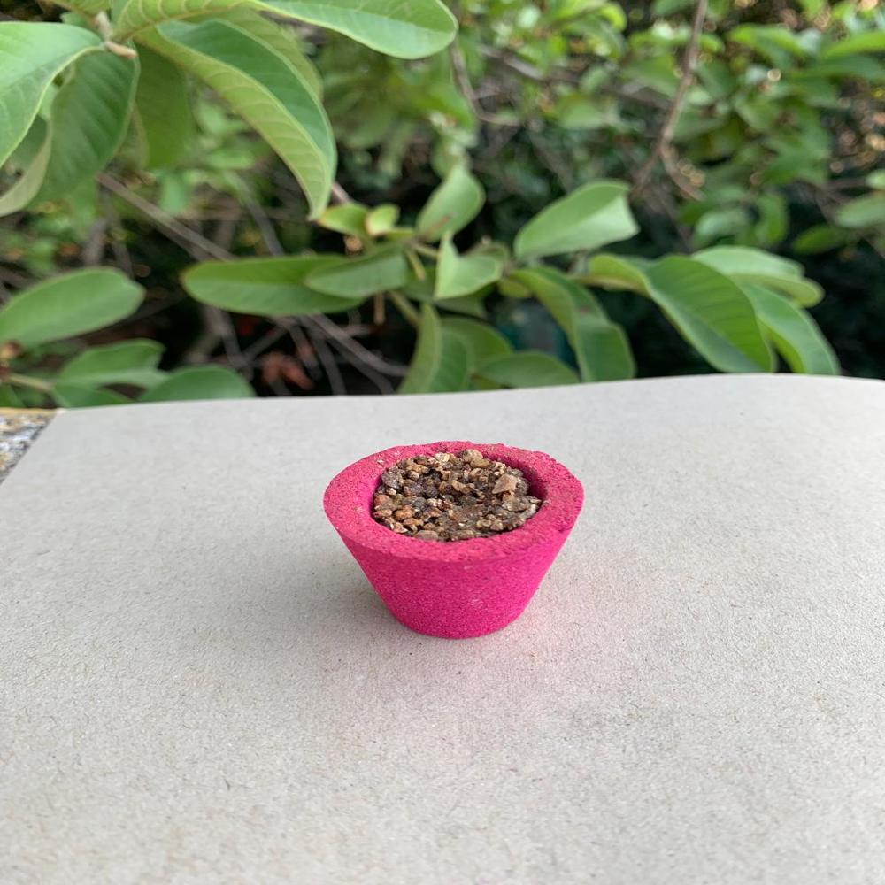 CUP SAMBRANI