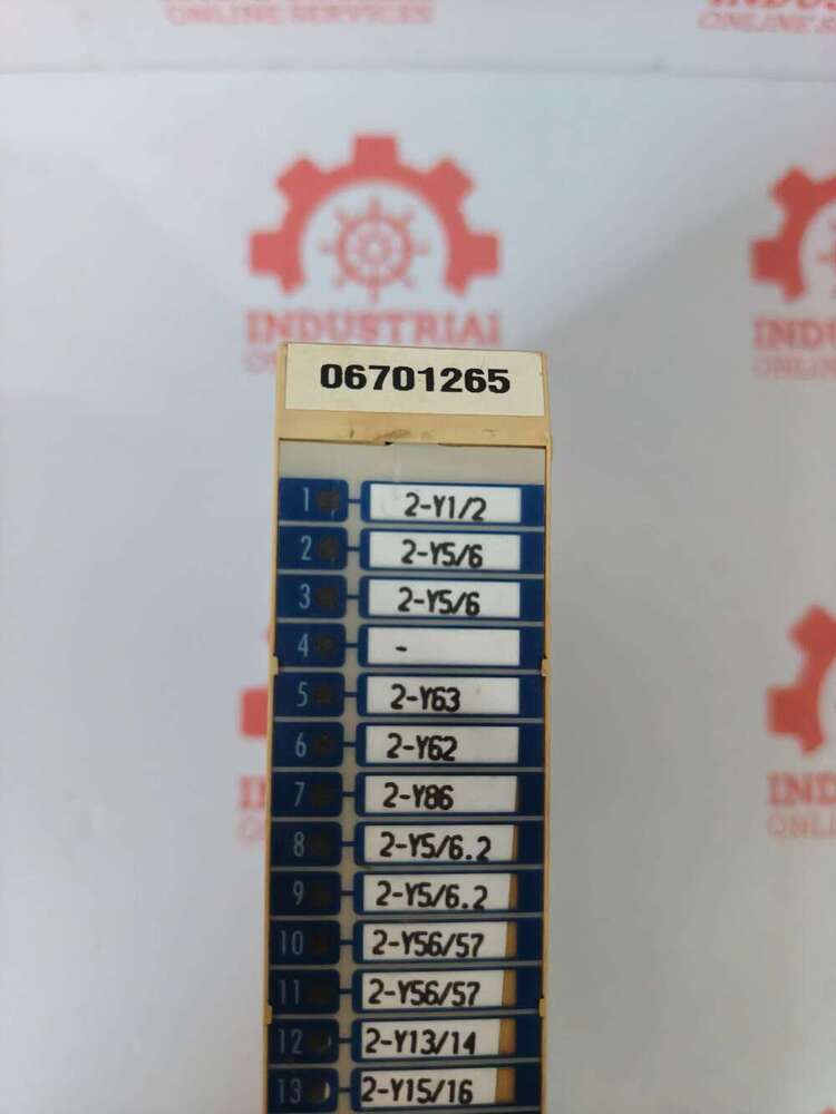 Mannesmann Demag AO161 06701265 Analog Output Module