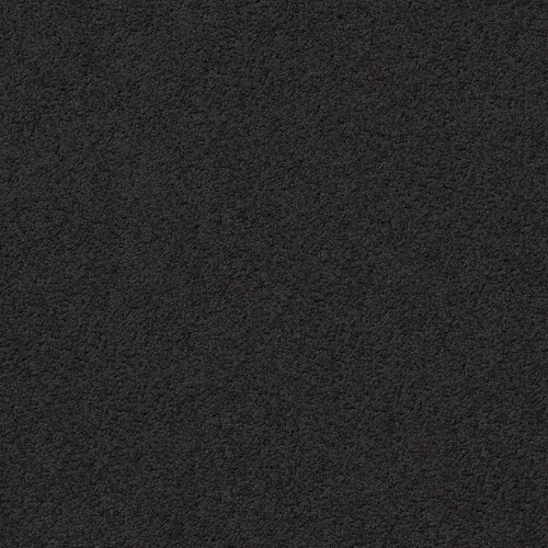 Momentum Wall To Wall Carpet