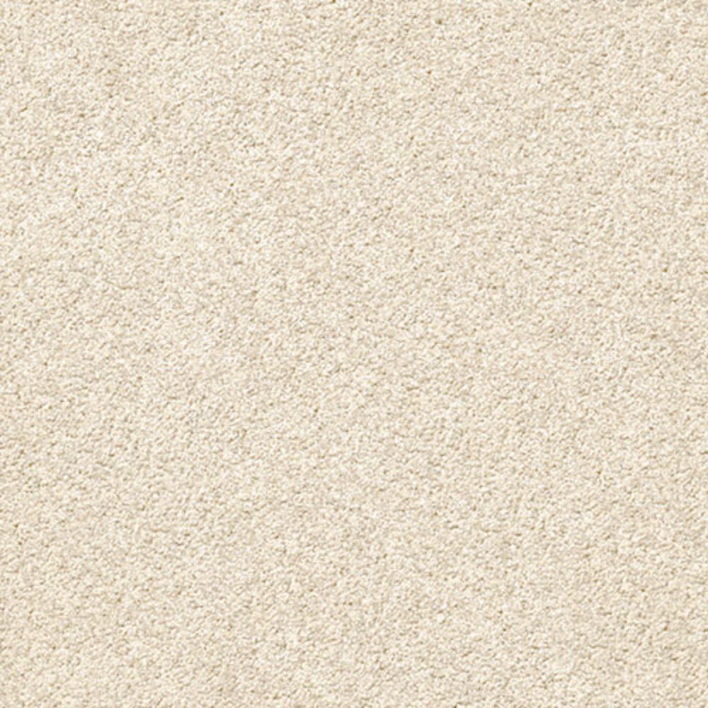 Momentum Wall To Wall Carpet