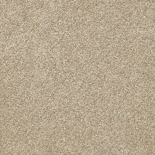 Momentum Wall To Wall Carpet