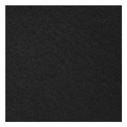 Oyster Wall To Wall Carpet