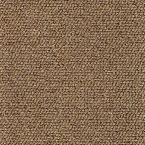 145 Lexus Wall To Wall Carpets