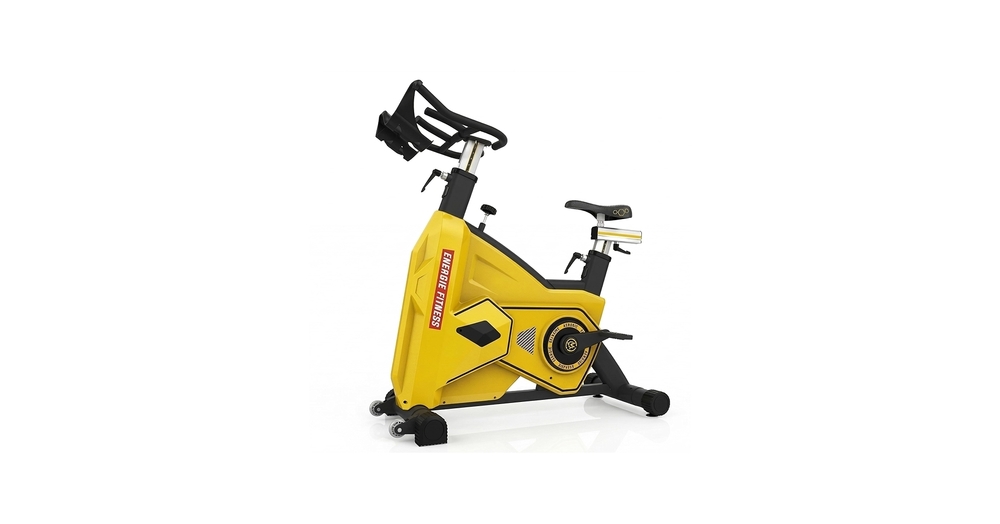 SPIN BIKE FB-5817