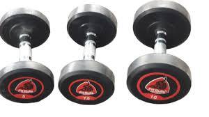 FITBULLS SINGLE COLOUR DUMBELL