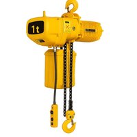 Motorized Chain Pulley Block