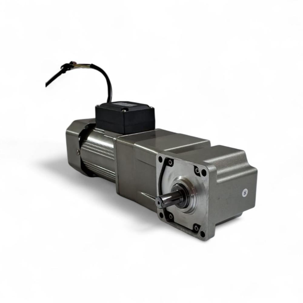 Single Phase AC Gear Motor Manufacture