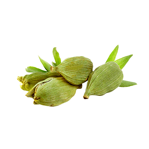 6mm Green Cardamom