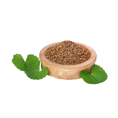 Bold Grade Carom Seeds
