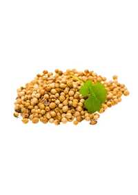 Split Coriander Seeds