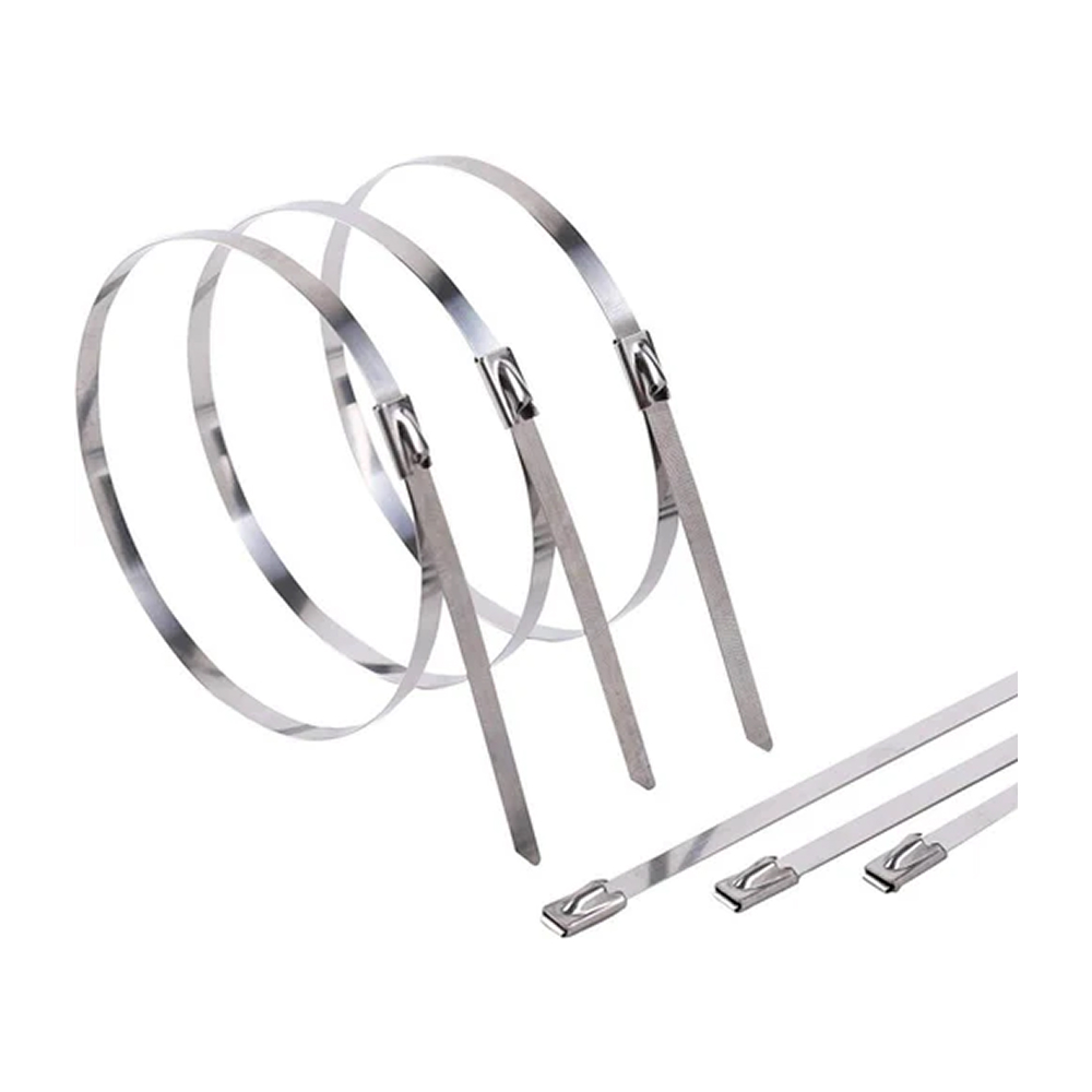 Cable Tie SS
