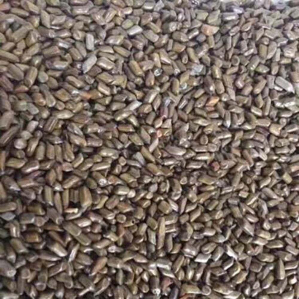 Cassia Tora Seed