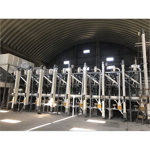 LNHB6542 Isabgol Plant