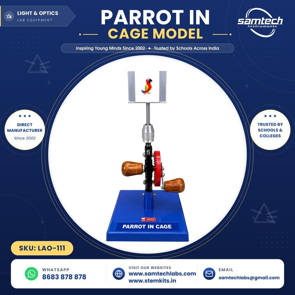 Parrot in Cage Model 