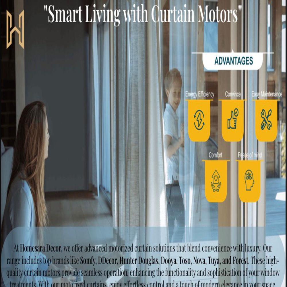 Curtain Motor