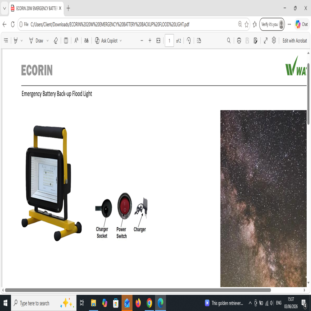 ECORIN Emergency 20W Battery Back-up Flood Light 