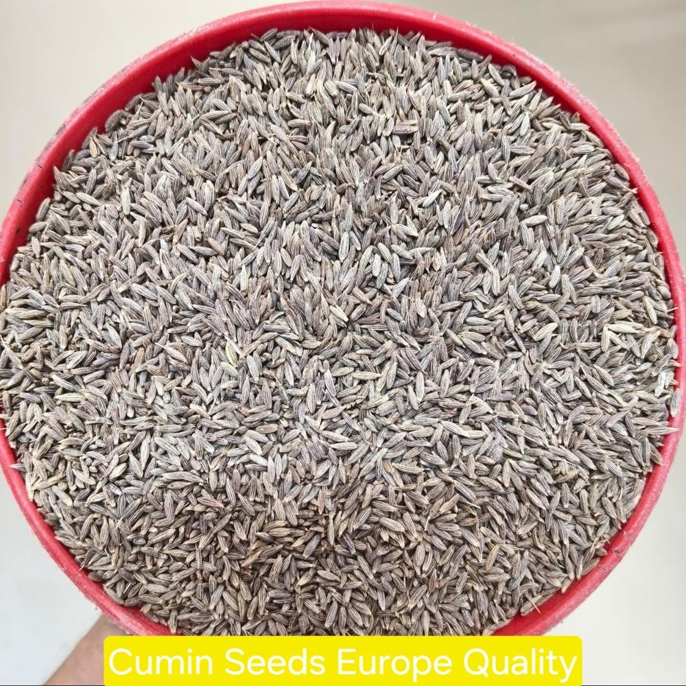 Cumin Seed