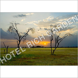 ताल चापर होटल सेवा