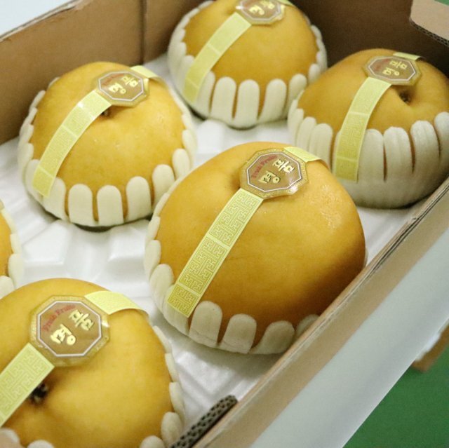 Korean Pears