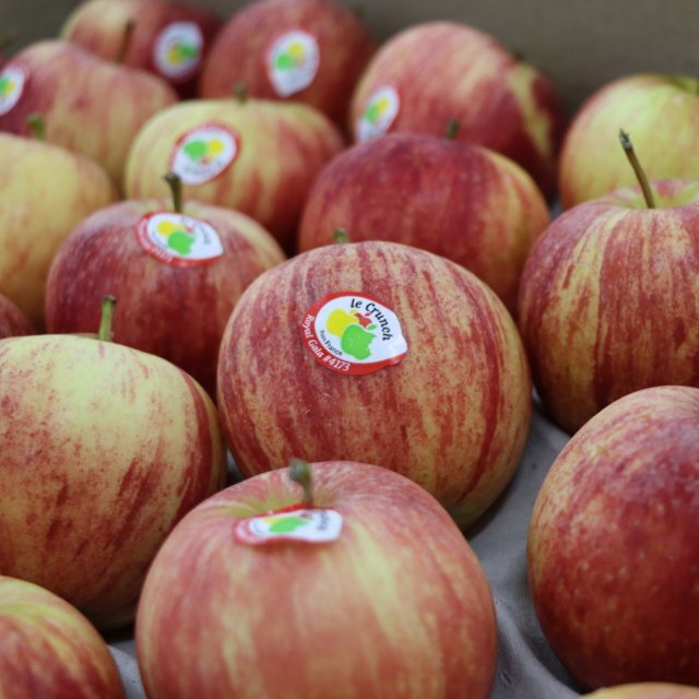 French Gala Apples