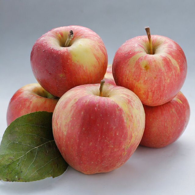 Turkish Gala Apples