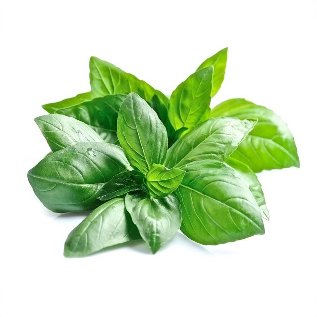 Sweet Basil