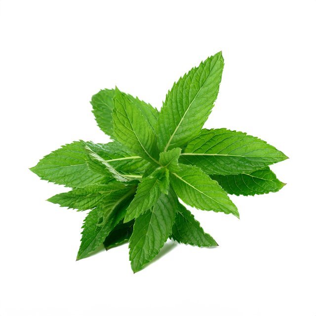Mint Leaf