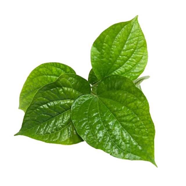 Chopoo Leaf
