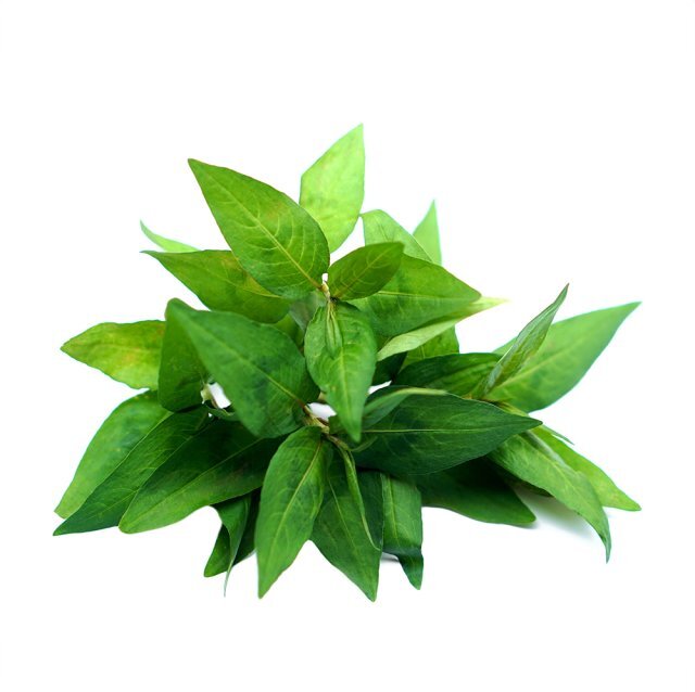 Laksa Leaf