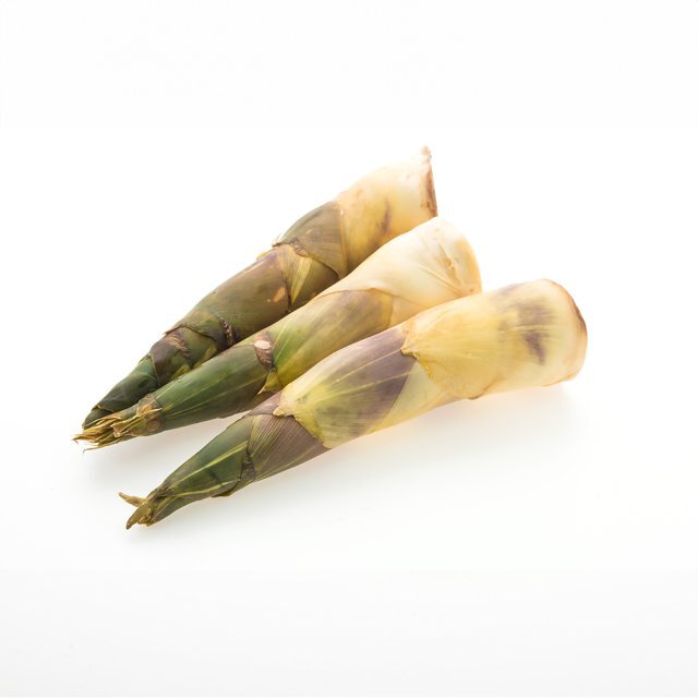 Bamboo Shoot