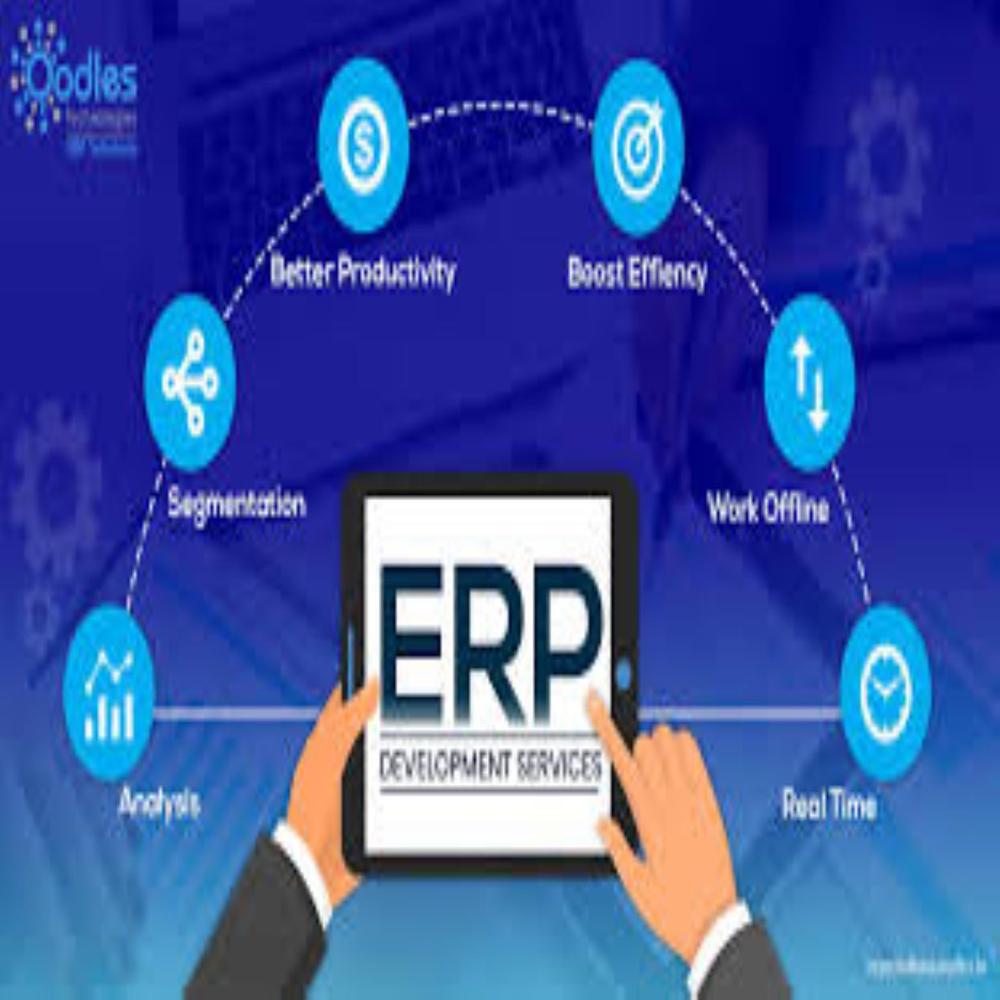 ERP Development Services