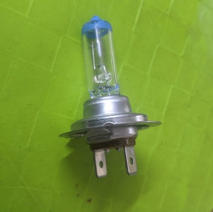H7 24V100W Halogen Bulb