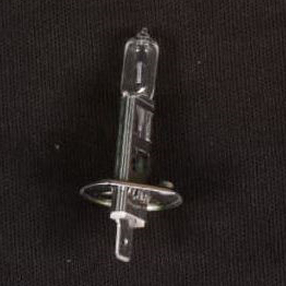 H1 24V100W Halogen Bulb