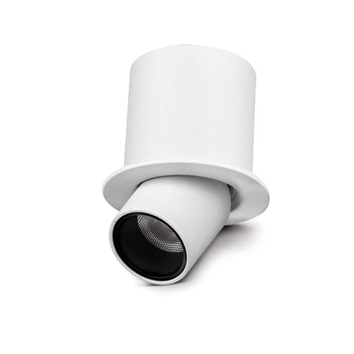 Flex Focus Cob Functional Light