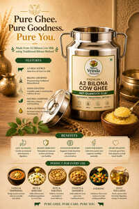 A2 Bilona Cow Ghee  5 L  Steel Dolchi