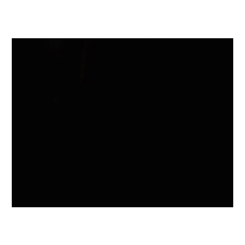 Absolute Black Granite