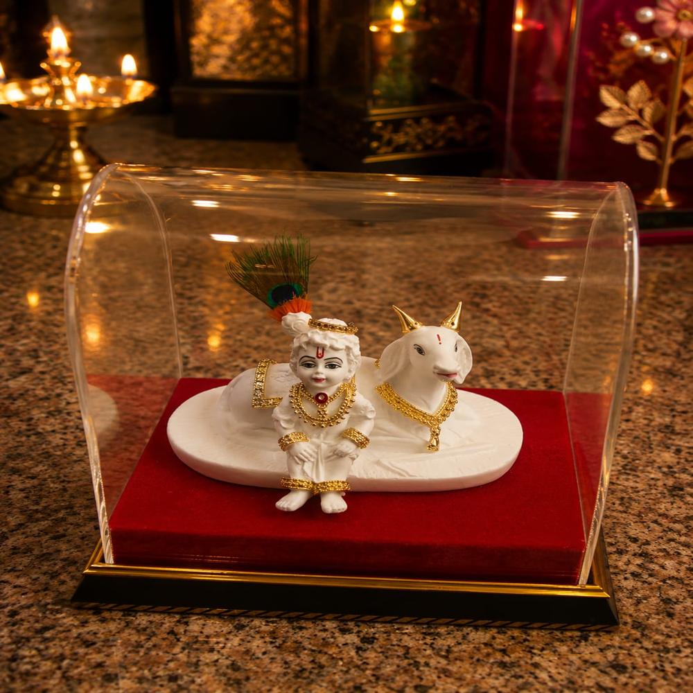 Laddu Gopal on Cow