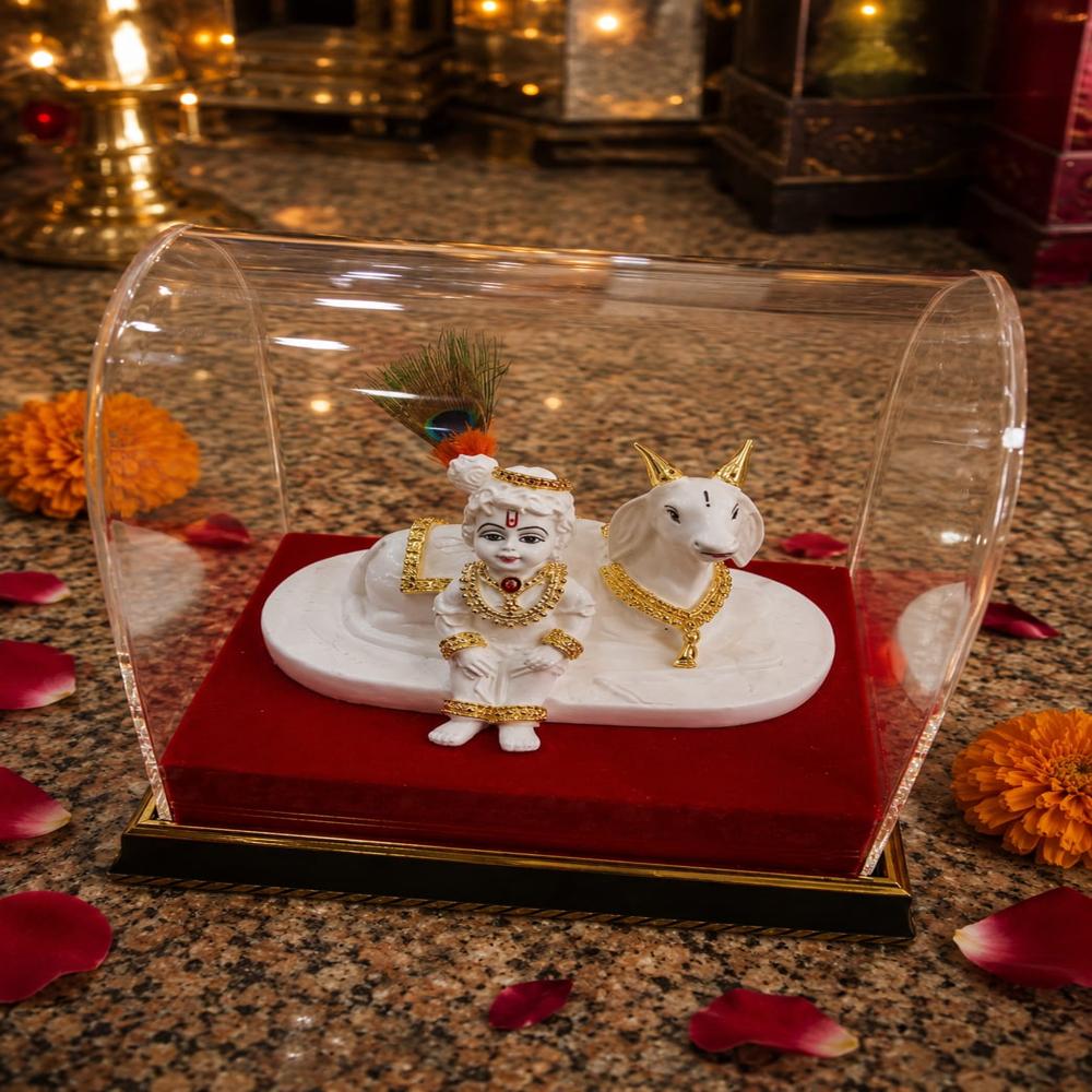 Laddu Gopal on Cow