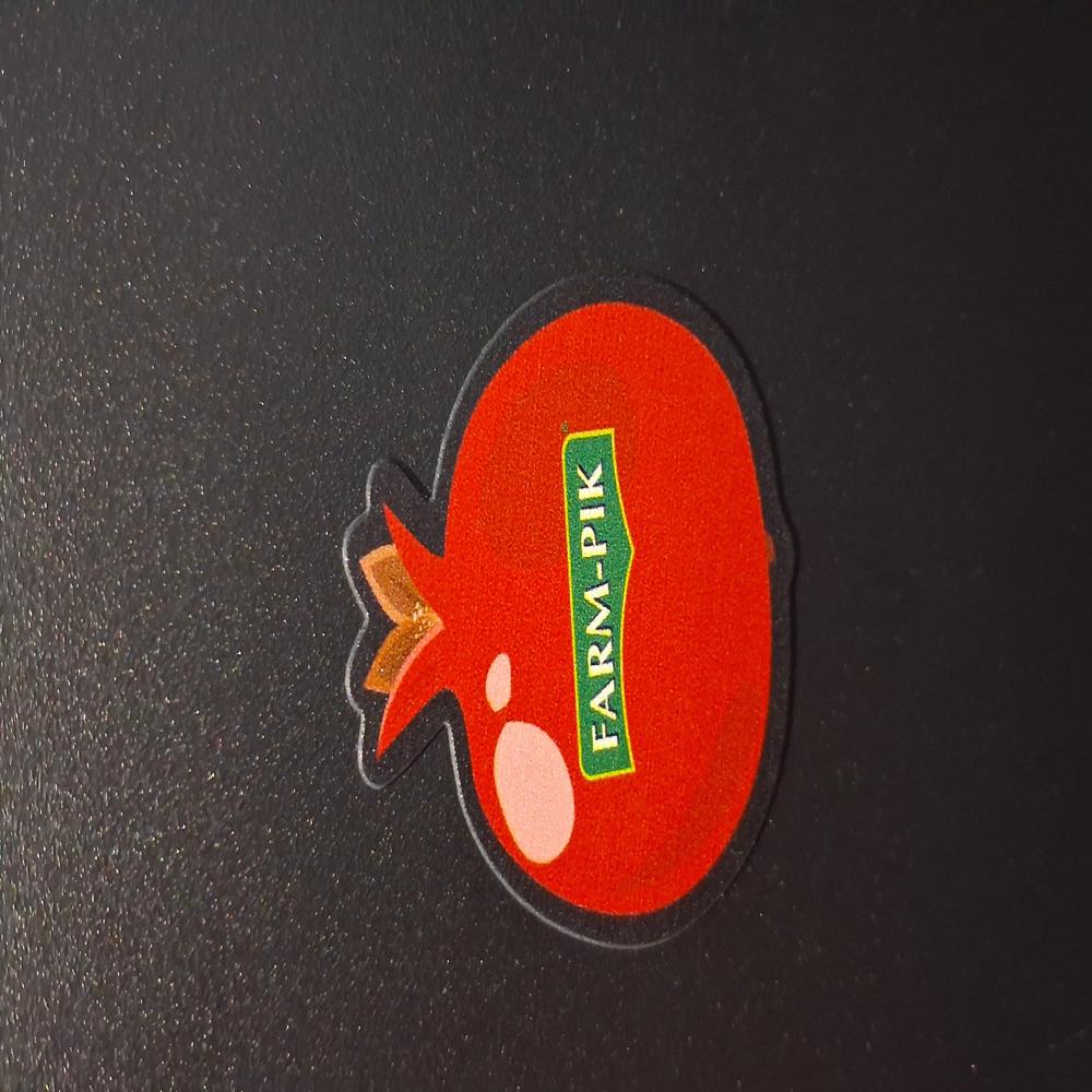 Refrigerator Magnet Stickers